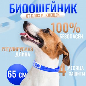 Биоошейник от паразитов "Пижон Premium" для собак, синий, 65 см