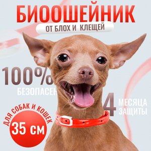 Биоошейник от паразитов "Пижон Premium" для кошек и собак, красный, 35 см