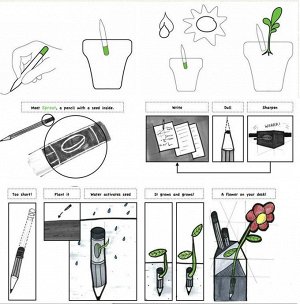 Карандаш с ростком внутри