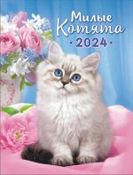 Календарь на магните на 2024 год &quot;Милые котята&quot;
