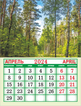 Календарь на магните на 2024 год "Природа. Солнечная тропа"