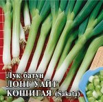 Лук батун Лонг Уайт Кошигая 10,0 г (Саката)