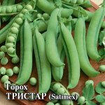 Горох Тристар 25,0 г (Голландия)