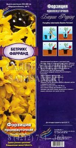 Форзиция Бетрикс Фарранд (Колорлайн) 1шт (коробка Р9) цветки золотис. с оранж.пятнами