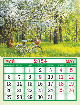 Календарь на магните на 2024 год "Природа. Берёзка у воды"