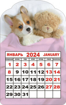 Календарь на магните 2024 "Щенок с плюшевым мишкой"