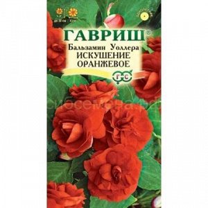 Бальзамин Искушение оранжевое F1 махр (Гавр)
