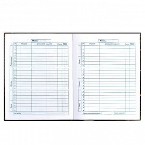 Дневник школьный 1-4 класс, формат А5+, 170х218 мм, 48 листов, твёрдый переплёт, глянцевая ламинация, тиснение фольгой