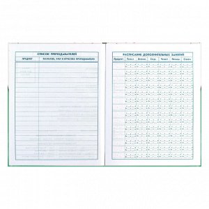 ФЕНИКС+ Дневник школьный 1-4 класс, формат А5+, 170х218 мм, 48 листов, твёрдый переплёт, глянцевая ламинация.