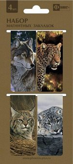 Закладки магнитные д/книг (4 шт)