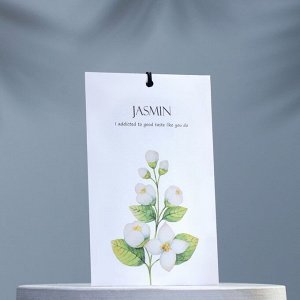 Аромасаше Jasmin, жасмин, 11 г
