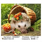 Картины по номерам 40х50 см