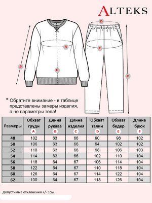 Алтекс Спортивный костюм с легким начесом