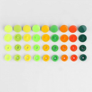 Кнопки пластиковые, d = 12 мм, 240 шт, в органайзере, цвет разноцветный