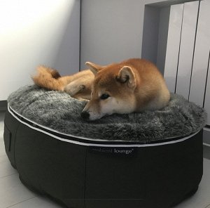 Лежак для собак - Medium