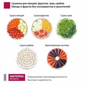 Сушилка для овощей и фруктов «Мастерица EFD-0501M», 125 Вт, 5 ярусов