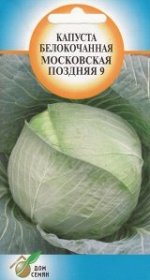 Капуста