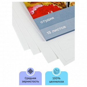 Папка для акварели, 15л., А3 Гамма &quot;&quot;Студия&quot;&quot;, 200г/м2, среднее зерно