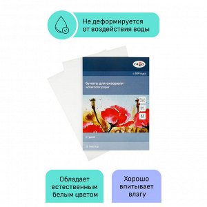 Папка для акварели, 15л., А3 Гамма &quot;&quot;Студия&quot;&quot;, 200г/м2, среднее зерно