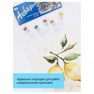 Папка для акварели, 15л., А3 Гамма &quot;&quot;Студия&quot;&quot;, 200г/м2, среднее зерно