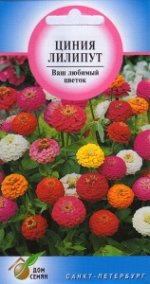 53005 Циния Лилипут