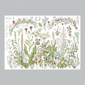 Наклейка пластик интерьерная цветная "Травы и полевые цветы" 50х70 см 9526226