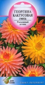Георгина Кактусовая