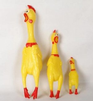 Резиновая курица Игрушка для животных