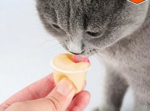 Молочный пудинг лакомство для кошек