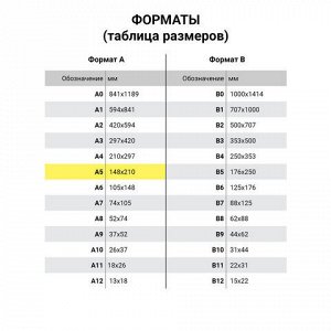 Тетрадь на кольцах А5 (180х220 мм), 80 листов, обложка ПВХ, клетка, BRAUBERG, красный, 403911