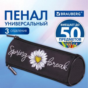 Пенал BRAUBERG, 3 отделения, нейлон, 21х7х7 см, "Spring", 270840