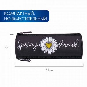 Пенал BRAUBERG, 3 отделения, нейлон, 21х7х7 см, "Spring", 270840