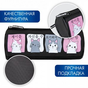 Пенал мягкий BRAUBERG, 3 отделения, нейлон, 21х7х7 см, "Anime Cats, 271580