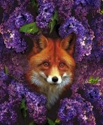 Картина по номерам