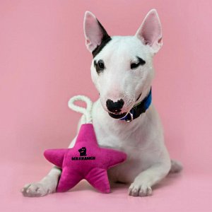 Игрушка Mr.Kranch для собак мелких и средних пород Звездочка с канатом и пищалкой 26х16х5см, нежно-розовая