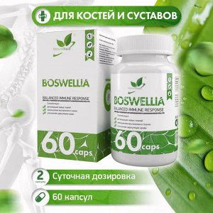 Natural Supp Boswellia extract Босвеллия, 60 капс