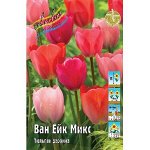 Тюльпаны дарвиновские (tulips darwin hybrid)