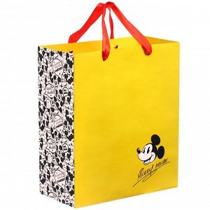 Пакет ламинированный вертикальный, 23 х 27 х 11 см "Mickey mouse" Микки Маус