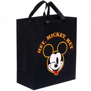 Пакет ламинированный вертикальный, 23 х 27 х 11 см "Hey Mickey Hey", Микки Маус