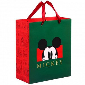 Пакет ламинированный вертикальный, 23 х 27 х 11 см "Mickey" Микки Маус