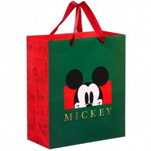 Пакет ламинированный вертикальный, 23 х 27 х 11 см "Mickey" Микки Маус