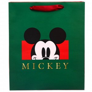 Пакет ламинированный вертикальный, 23 х 27 х 11 см "Mickey" Микки Маус