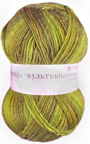 Пряжа Пехорская ПТ "Ровница "Мультиколоровая" № 1018М