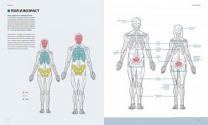 Фигура человека для художника. Большая книга анатомии, референсов и художественных поз