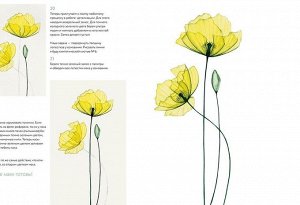 Прозрачные цветы акварелью. Рисуем в технике "рентген"