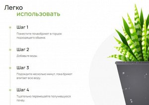 Почвобрикет Бегония 2,5л, круглый