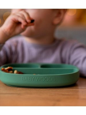 Секционная детская силиконовая тарелка на присоске цвет Нефрит