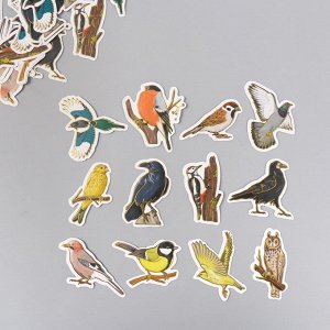 Наклейки для творчества "Городские и лесные птицы" тиснение золото набор 48 шт 9х7х0,8 см