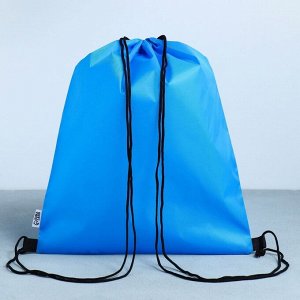 Сумка для обуви «ArtFox study», болоневый материал, цвет голубой, 41х31 см