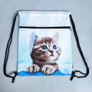 Мешок для обуви «Милый котик» (с карманом) 41x31 см